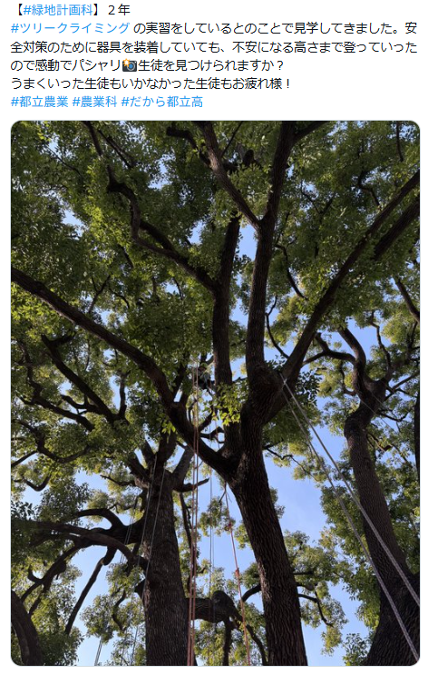 スクリーンショット 2026-02-03 135742